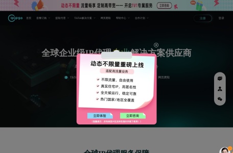 IPIPGO 海外代理